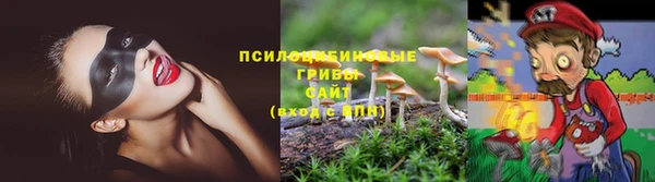 PSILOCYBIN Нефтегорск