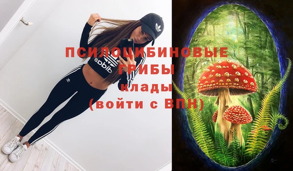 MESCALINE Надым