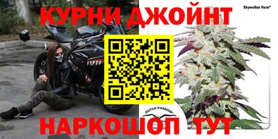 стаф Бузулук