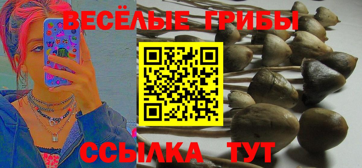 Галлюциногенные грибы GOLDEN TEACHER  Галлюциногенные грибы прущие грибы  Лосино-Петровский 