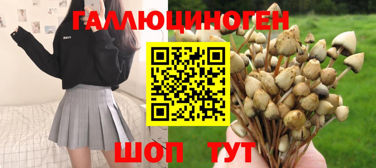 Псилоцибиновые грибы Psilocybine cubensis  Вход с VPN  Лосино-Петровский 