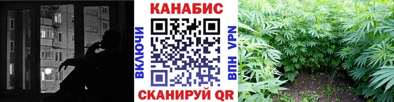 Канабис Bruce Banner  закладки  Лосино-Петровский 